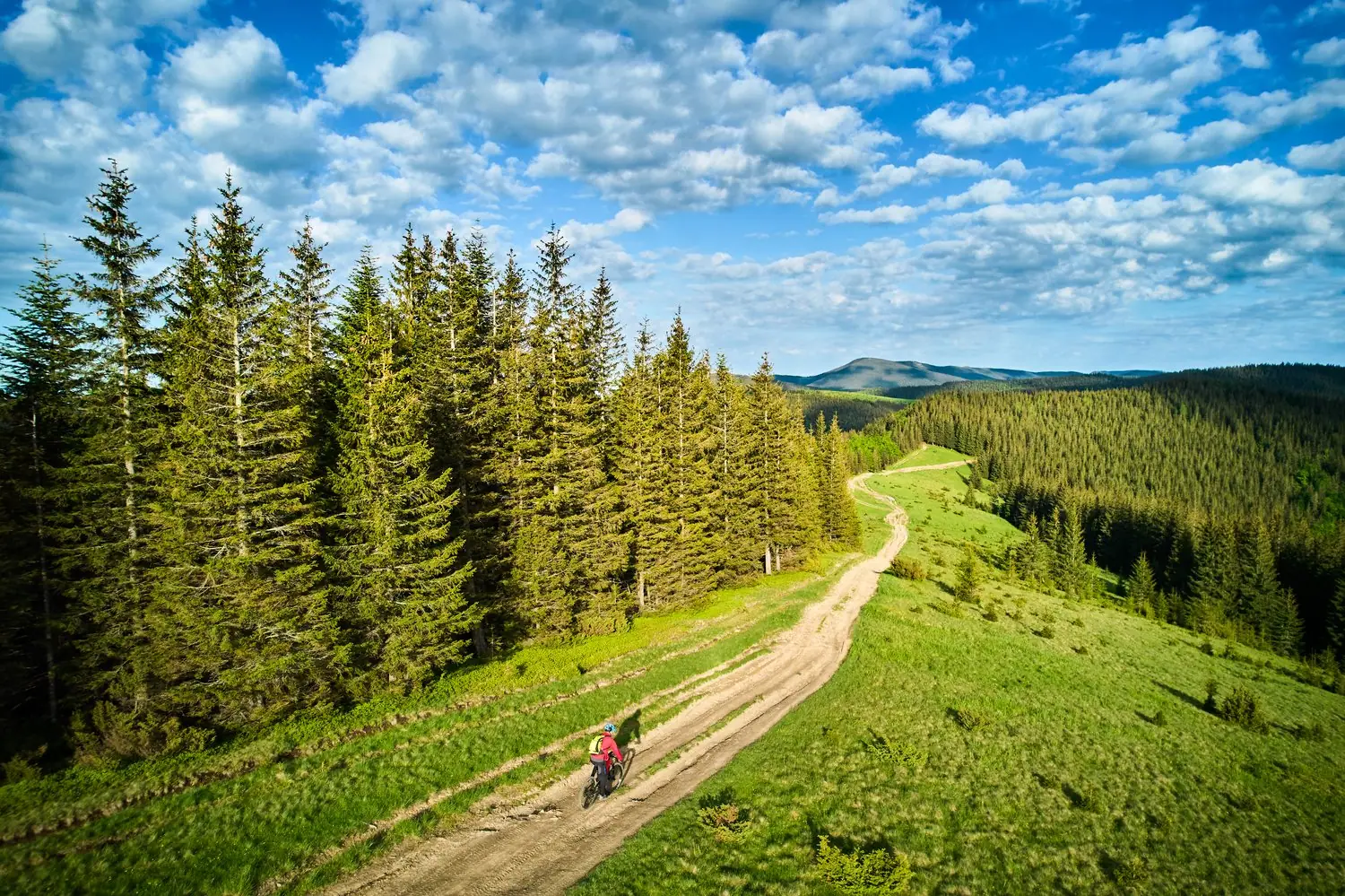 Turystyka rowerowa - najpiękniejsze szlaki w Czechach
