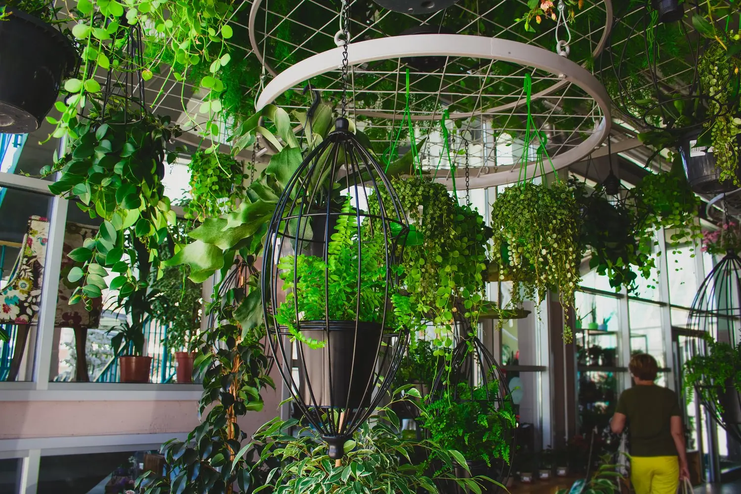 Vertical gardening - zielone ściany w mieszkaniu