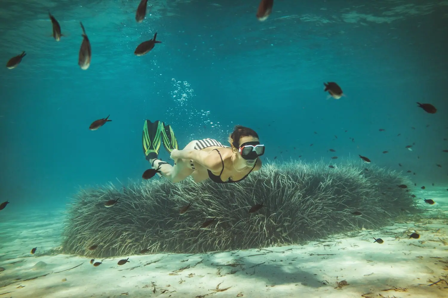 Snorkeling na Chorwackich wyspach - podwodne odkrycia