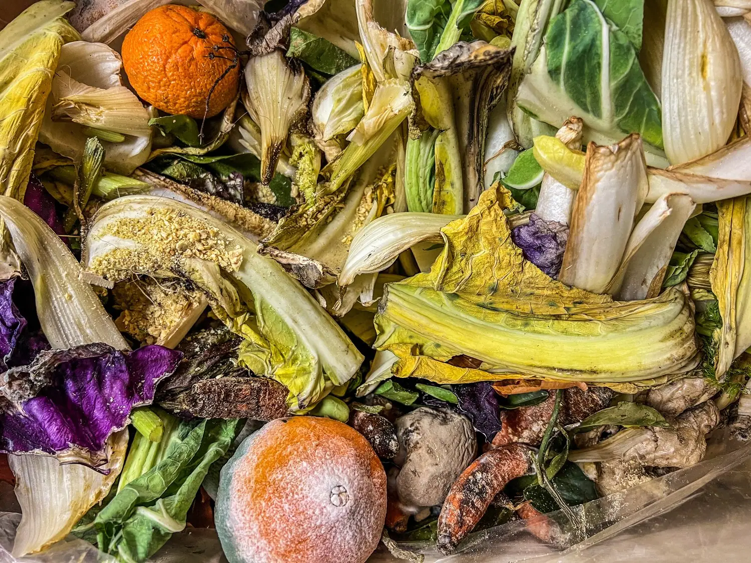 Kuchnia zero waste - wykorzystanie liści i łodyg warzyw